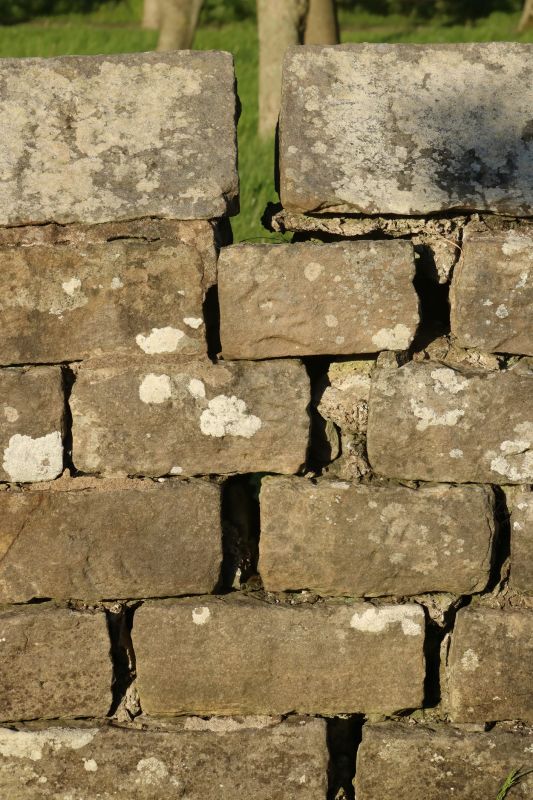 Stone Wall Repair in Evans, CO